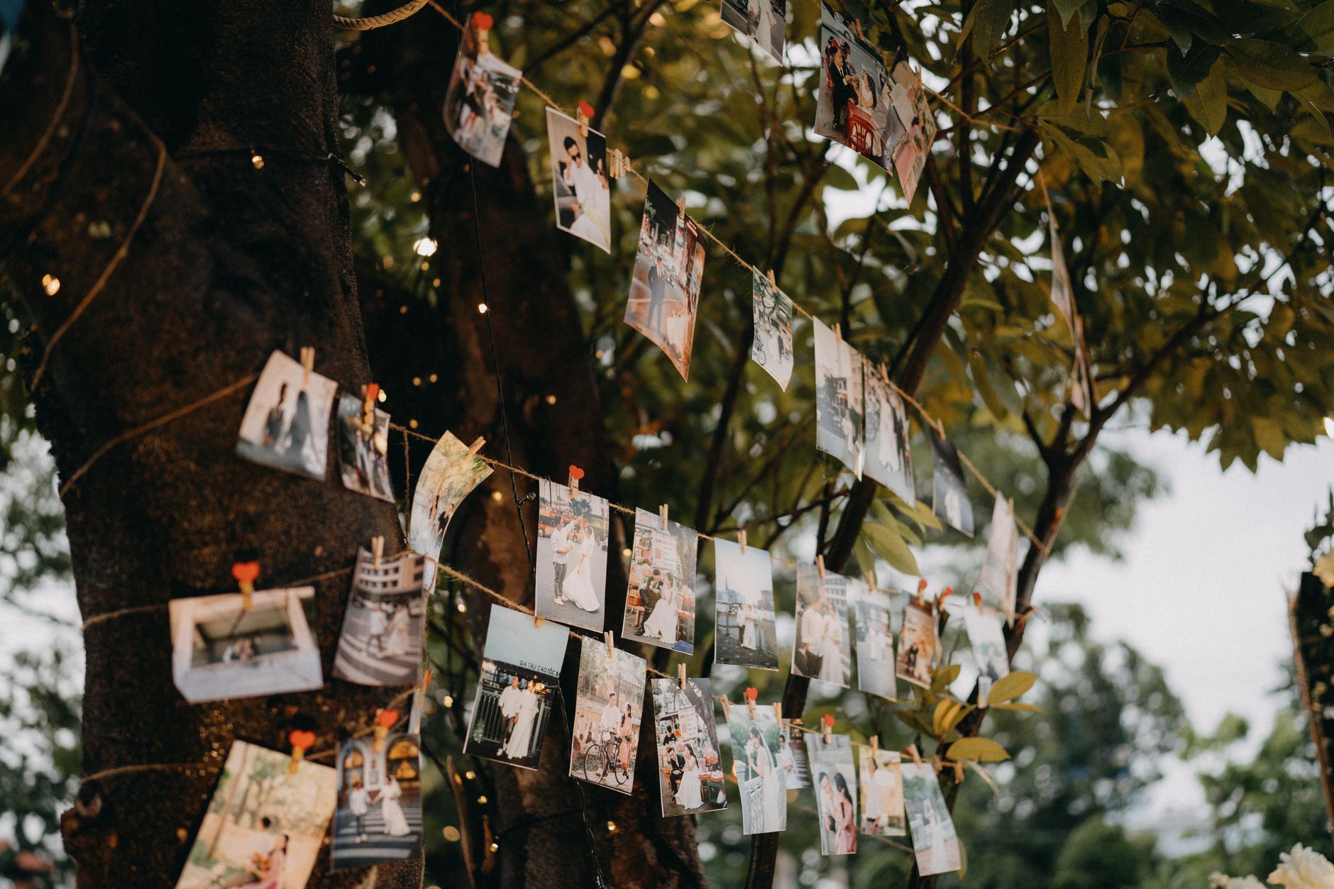 pictures hanging on strings attached to trees in a garden